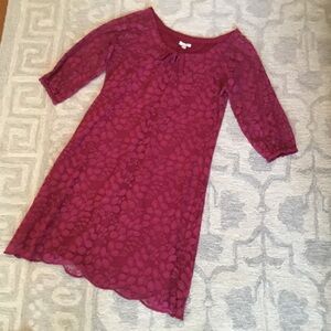 Garnet Hill Lace Dress